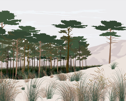 Affiche La Dune : pins maritimes et hautes herbes sur une dune claire