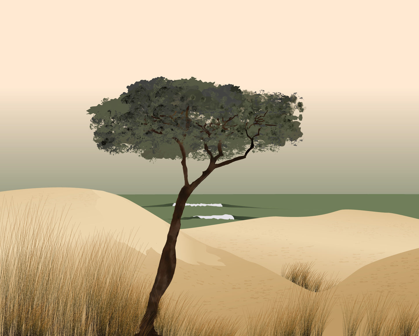 Papier peint Pinus Pinaster – pin maritime solitaire sur dune – By Swelle.