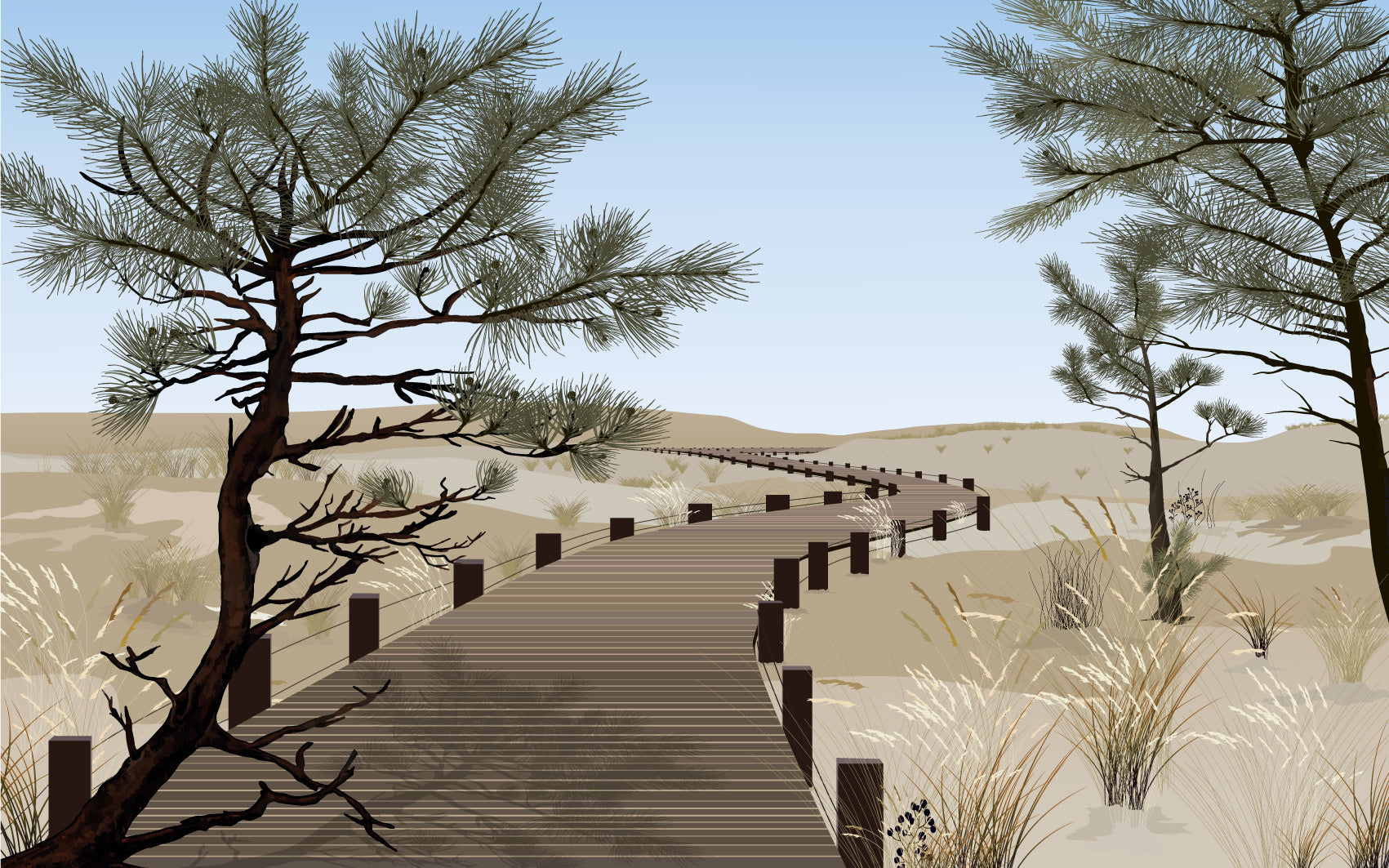 Papier peint La balade des planches – chemin de bois dans les dunes.