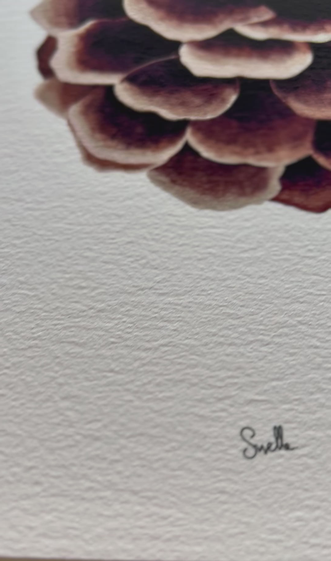 Symbole de notre Sud-Ouest, l'illustration "La pigne" est dessinée dans un format A4 et uniquement imprimée sur du papier d'Art Hahnemühle. Avec sa structure mate d'aquarelle, le papier blanc naturel Hahnemühle donne au toucher l'aspect du papier d'art fait à la main. 