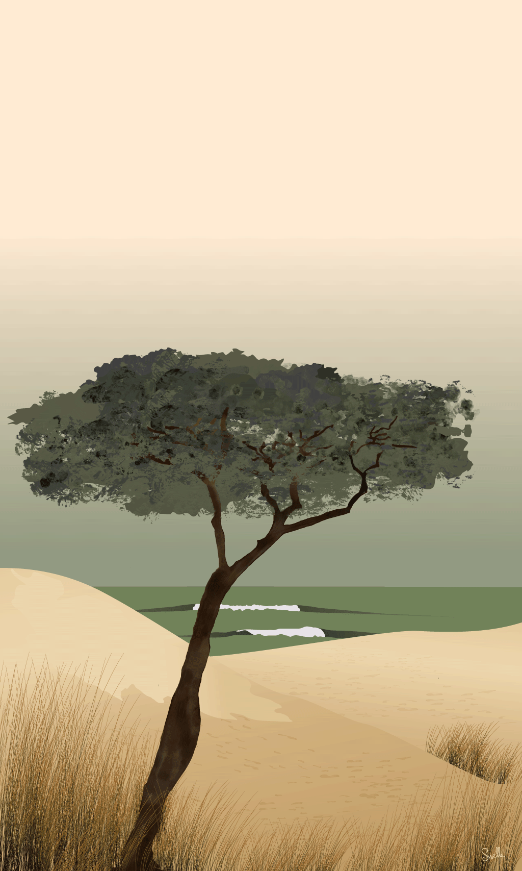 Papier peint Pinus Pinaster – pin maritime solitaire sur dune – By Swelle.